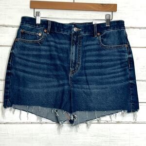American Eagle Curvy Relaxed Shorts Dark Wash Denim Size 12